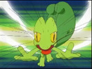 Treecko