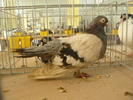 P1070046