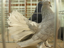 P1070056