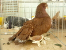 P1070058