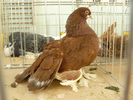 P1070059
