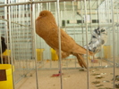 P1070060