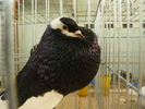 P1070061