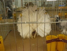 P1070067