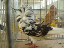 P1070073