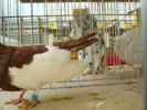 P1070080