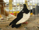 P1070082