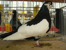 P1070084