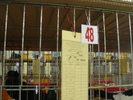 P1070088