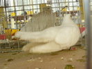 P1070089