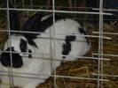 IMG_0097