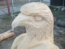 DSCF4459