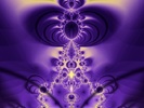 violet lace