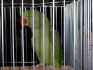 SDC10862
