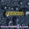 505-ADRIANA avatar abstract