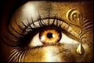 Golden-eye-eyes-8325997-700-469