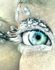 Winter-s-eye-eyes-7647938-431-544