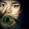 peacock-eyes-eyes-2970190-300-300