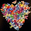butterfly-jigsaw-puzzle-1T