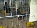 Picture 032