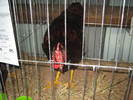Picture 110