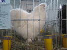 Picture 119