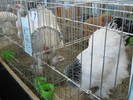 Picture 128