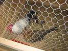 Picture 133