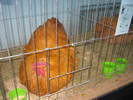 Picture 139