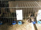 Picture 140
