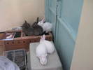 Picture 151