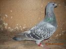 DSCN4196
