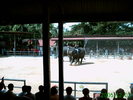 PICT0057