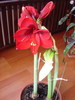 DSC09717