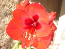 DSC09727