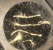 T18_10x
