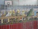 Picture 005