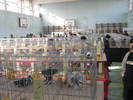 Picture 006