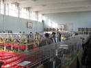 Picture 007