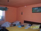 Picture 005
