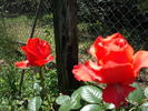 DSCF3547