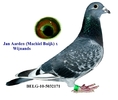 BELG-10-5032171-1
