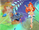 winx ro60