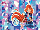 winx ro 12