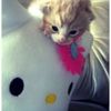 thumb2_hello__kitty_by_pronouncedyou