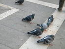 DSCN6218