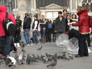 DSCN6433