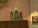 DSCN6693