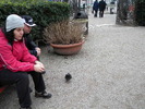 DSCN6718