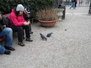 DSCN6723
